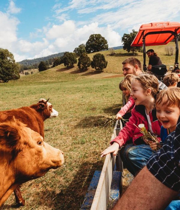 What to do Around the Tweed these School Holidays