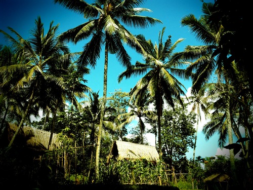 Bambu Indah Boutique Hotel, Ubud, Bali